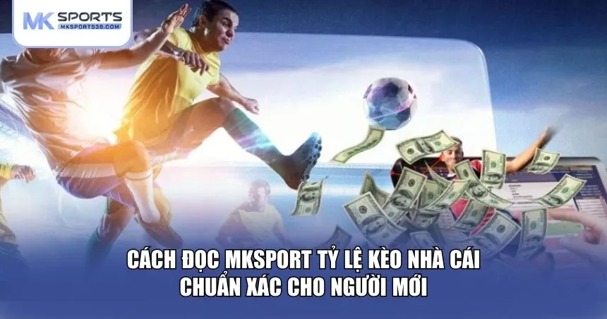 Cách đọc MKSPORT tỷ lệ kèo nhà cái chuẩn xác