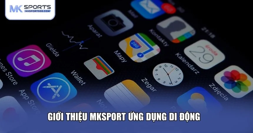 Giới thiệu MKSPORT ứng dụng di động